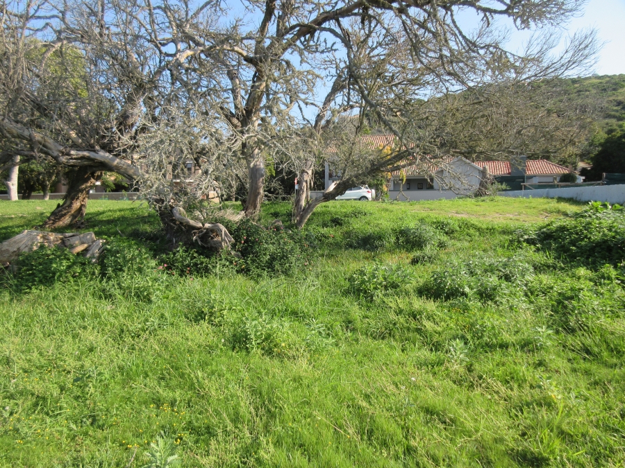 0 Bedroom Property for Sale in Riverview Water Front Estate Eastern Cape